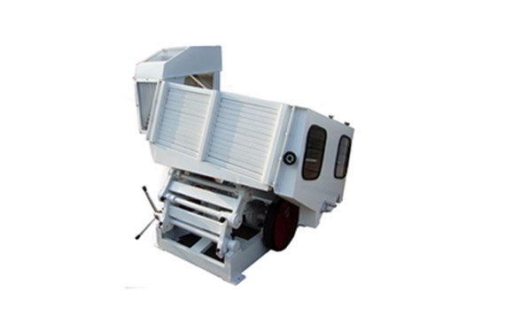 example image